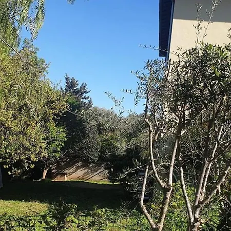 Villa Farigoulette Hyères Hyères